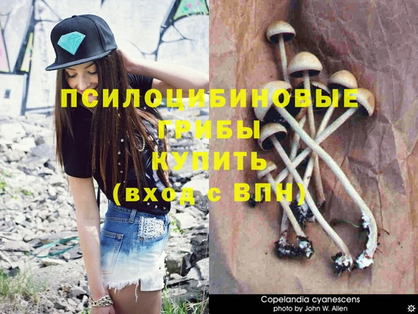 мяу мяу кристалл Богданович